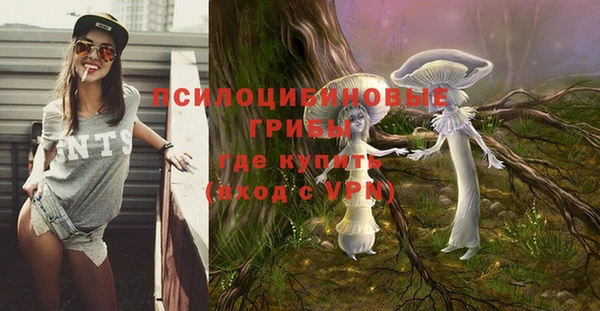 спайс Приозерск