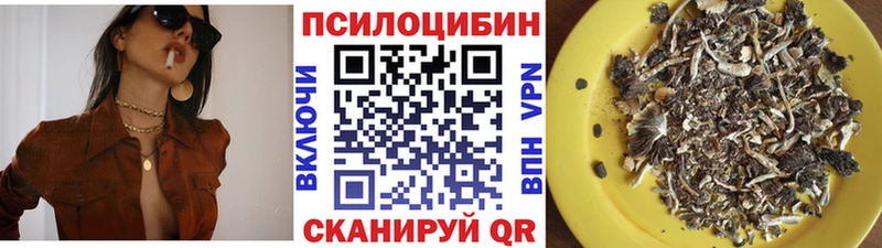 как найти закладки  Дедовск  Псилоцибиновые грибы MAGIC MUSHROOMS 