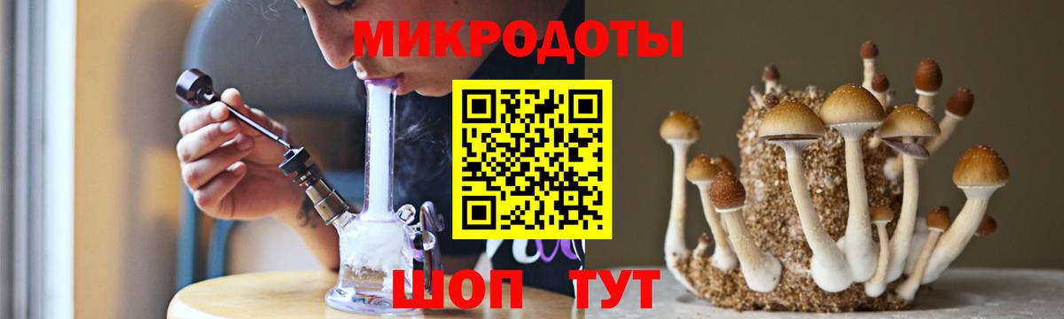 закладки  Галлюциногенные грибы ЛСД  Вход с VPN  Дедовск 