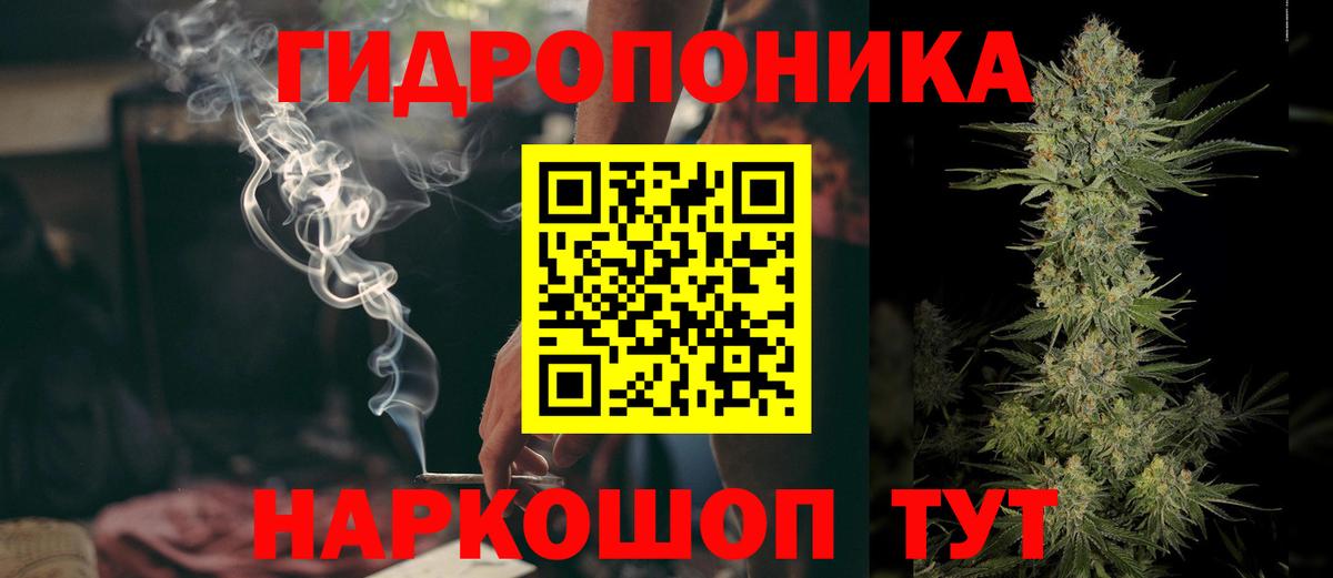 Конопля сатива Дедовск